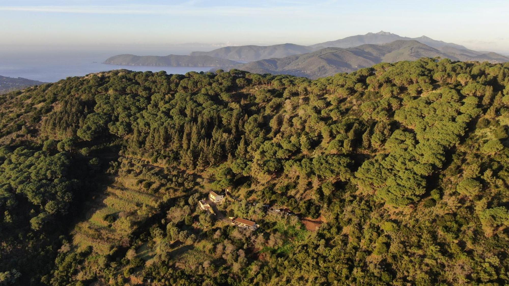 Aria Di Collina - Isola D'elba Porto Azzurro