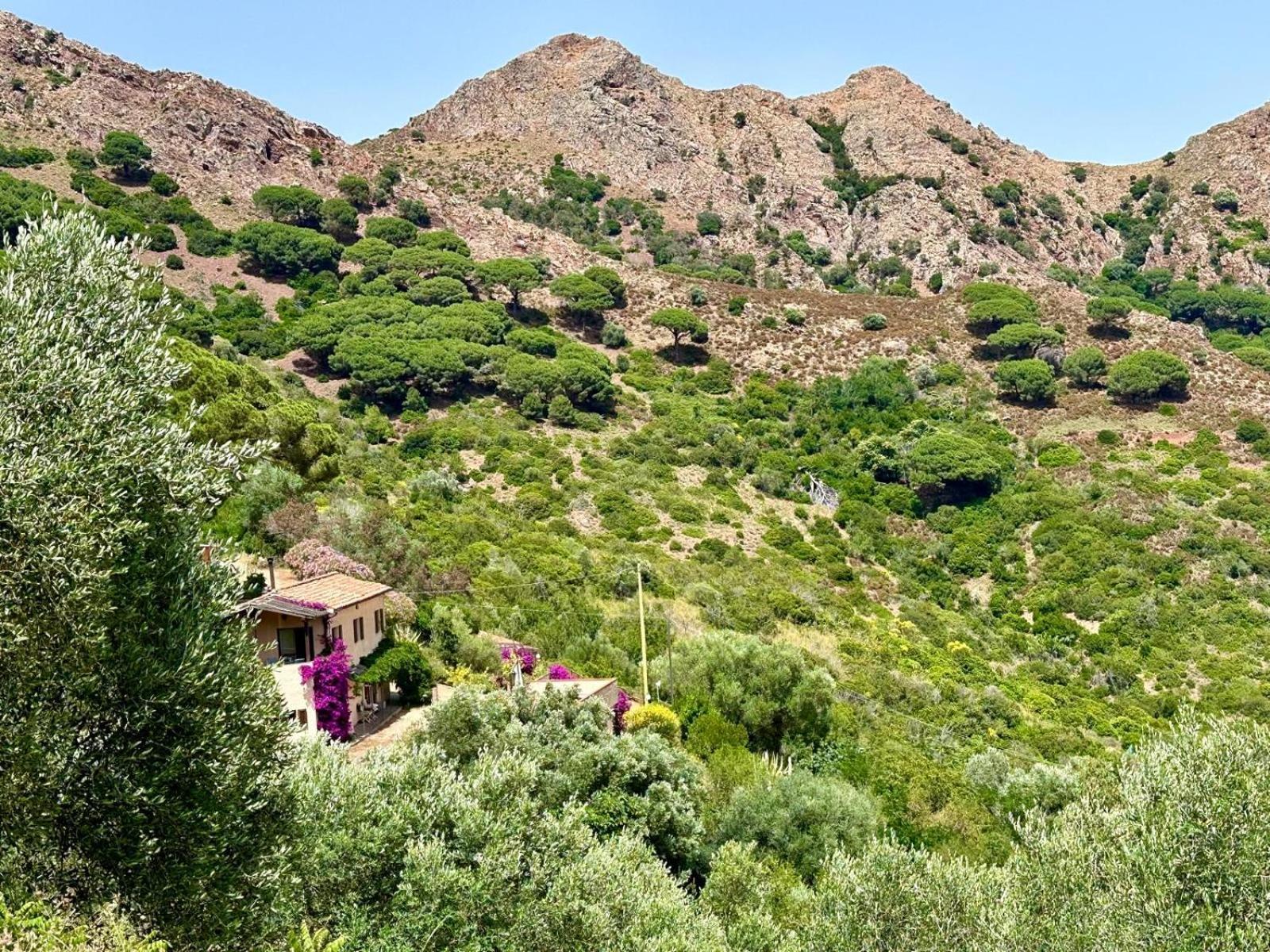 Aria Di Collina - Isola D'elba Apartment *